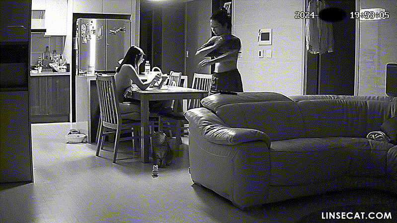 bc51d1553b6bf346109a4c668d7b9267_1731494029_8686.gif