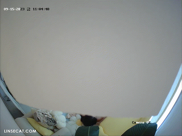 c61813cd0fbff7764871b00e1b47789d_1730452278_4391.gif