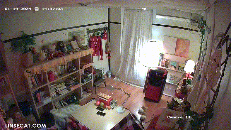 c61813cd0fbff7764871b00e1b47789d_1730455524_5429.gif