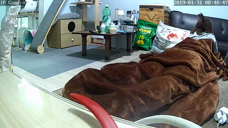 c67acb83d65ee6f847ef5265598ce50d_1730403798_076.gif