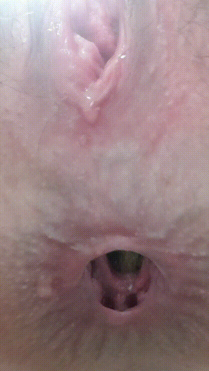 c75ce0ba3098360f4f3947081a4f3a74_1732005613_5323.gif
