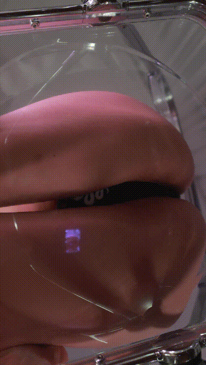 c7f2f9e42794c17ed96982b826d04930_1732955961_0251.gif