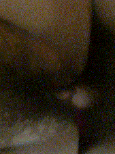 d0fdf5108deb40e000e07230fce6f2fa_1730550383_9153.gif