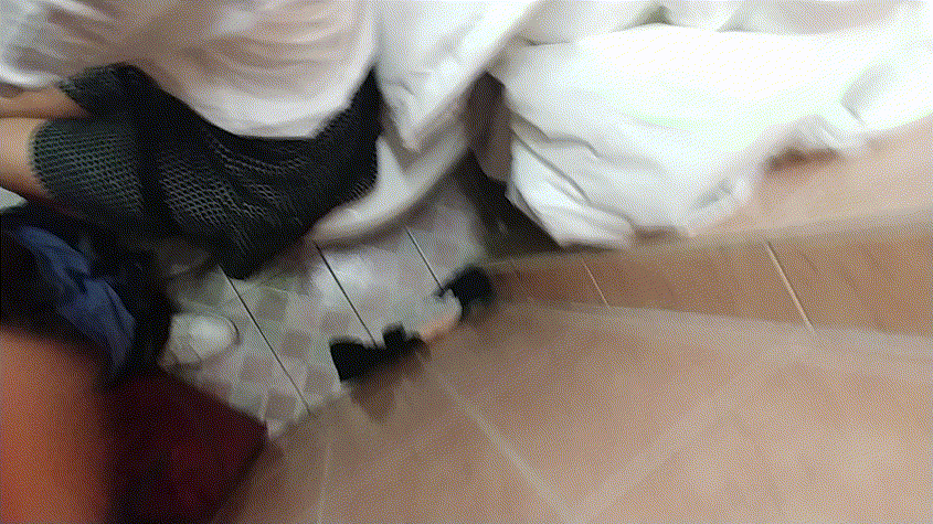 d1f9f3f1764eddf0bd3ade4f0f1d899f_1730811291_9784.gif