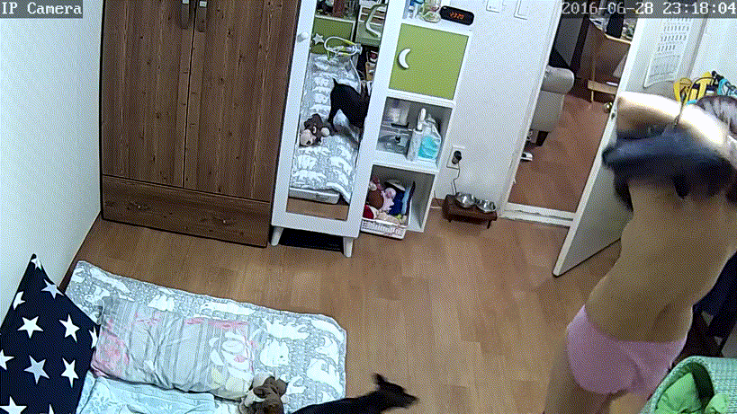 d39788703166f0c5051b17441282f83b_1730655632_9651.gif