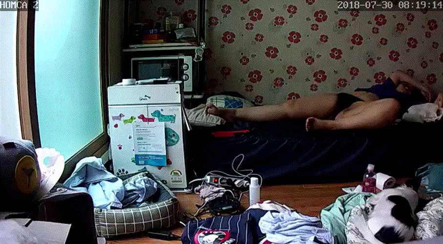d7d3e99a15921e30235db564ab7cc9b7_1730448522_6311.gif