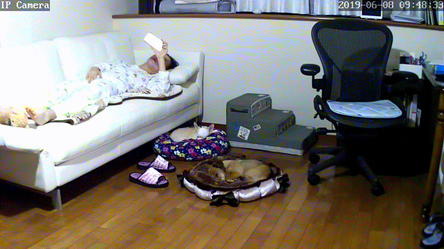 d7d3e99a15921e30235db564ab7cc9b7_1730448537_4475.gif
