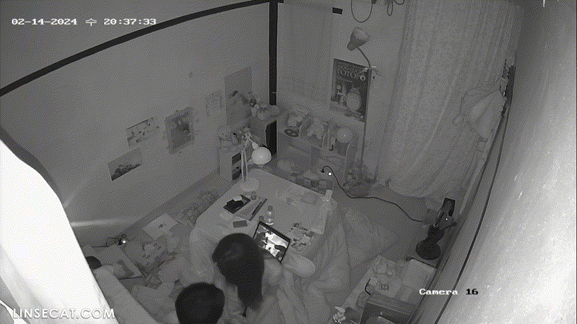 d7d3e99a15921e30235db564ab7cc9b7_1730451398_451.gif
