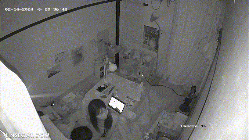d7d3e99a15921e30235db564ab7cc9b7_1730451410_7803.gif