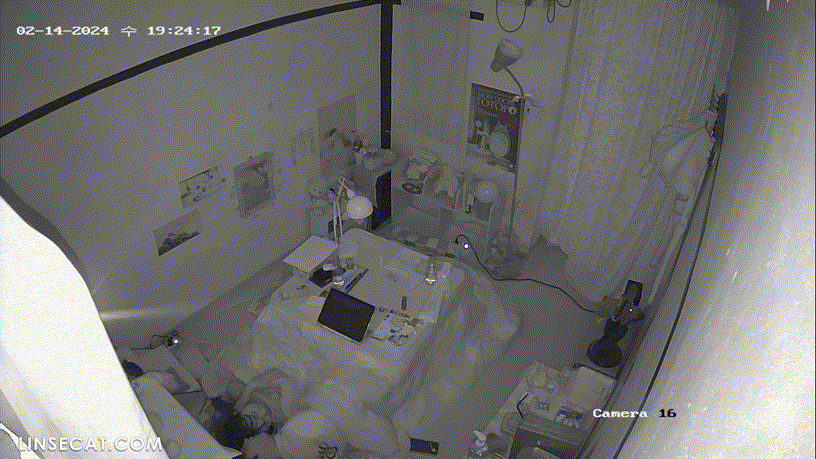 d7d3e99a15921e30235db564ab7cc9b7_1730451422_3623.gif