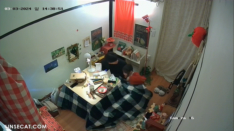 d7d3e99a15921e30235db564ab7cc9b7_1730451432_2634.gif
