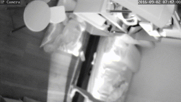 d7dd07334023359c3c4dbb54a4169e9f_1730394441_4955.gif