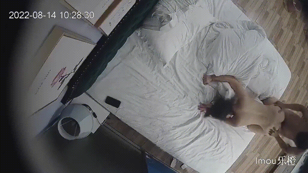 d8544ebb6afc0714f5c57840330a9d4a_1731934029_5052.gif