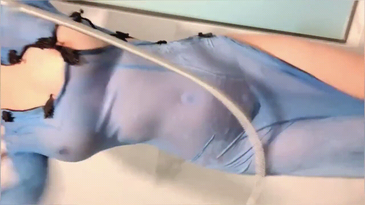 d878c7e044e0f84217f8fe08514580e7_1732417912_9846.gif
