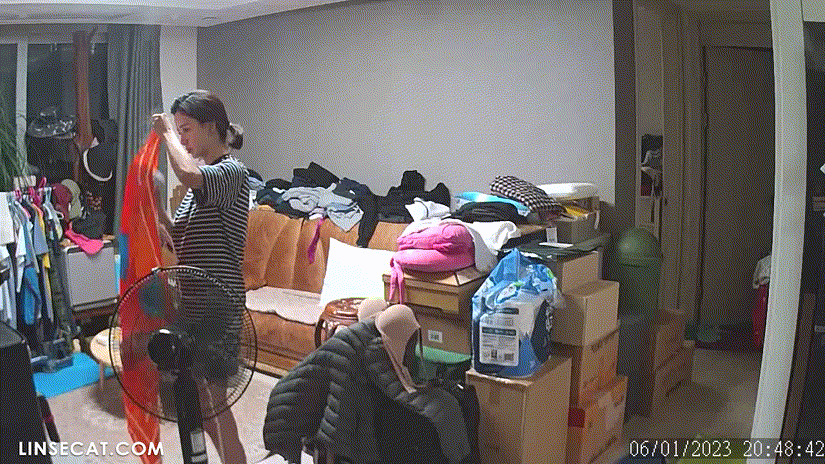 d9b1a6b87803bee76fe31d3e6a8dcd9a_1730655890_0255.gif