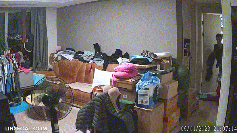 d9b1a6b87803bee76fe31d3e6a8dcd9a_1730655899_0784.gif