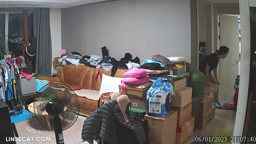 d9b1a6b87803bee76fe31d3e6a8dcd9a_1730655913_6407.gif