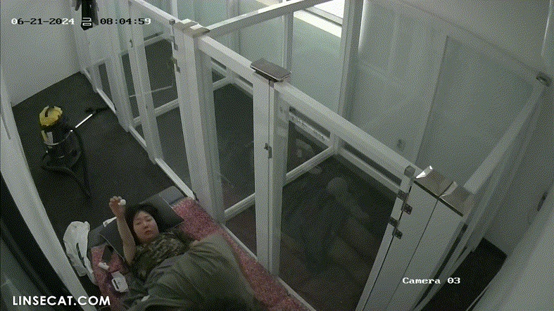 de8eb52c3f4a470d8c9a04615f17aab5_1730649604_535.gif