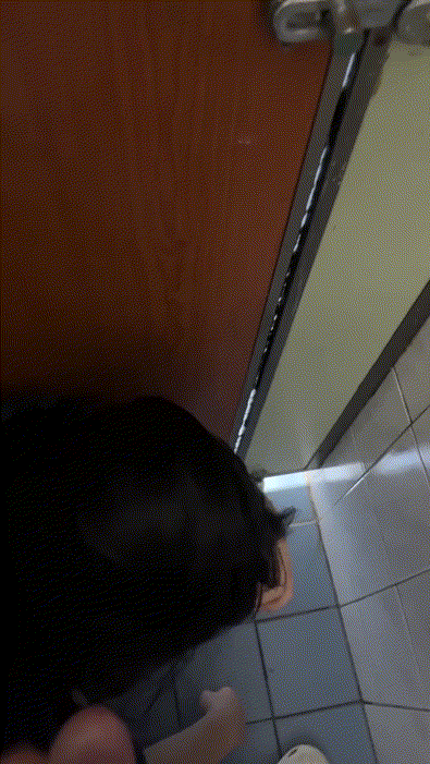 e14f66cacccaaefa23b5aeba9f60a16c_1732004887_8305.gif