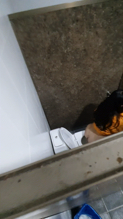 e68da503a8f6a7369b86b4dc0549d1b6_1730452416_7088.gif