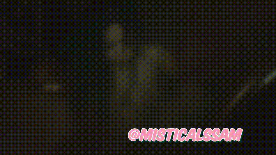 ed13c29cd193a1b186b627413de46f3c_1731576392_1781.gif