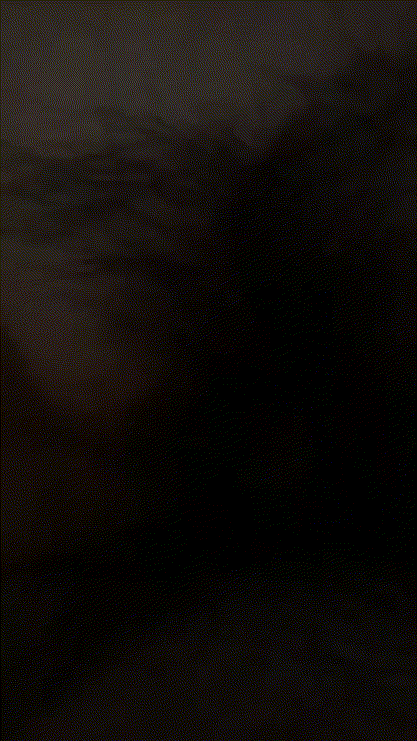 ed13c29cd193a1b186b627413de46f3c_1731576857_868.gif