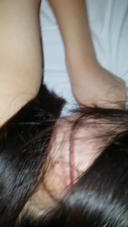 f03c81e4a0d6032a84088e3676d7b5ed_1731422743_623.gif