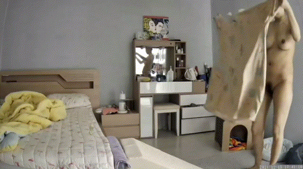 f2b7e32943fa5cb2a7a52dfd03c5e5fd_1730405998_4683.gif