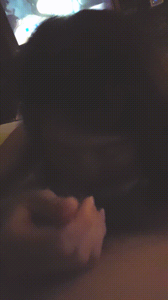 f7e63e6a51c0b399e8d9f252d3e18442_1732261681_9517.gif