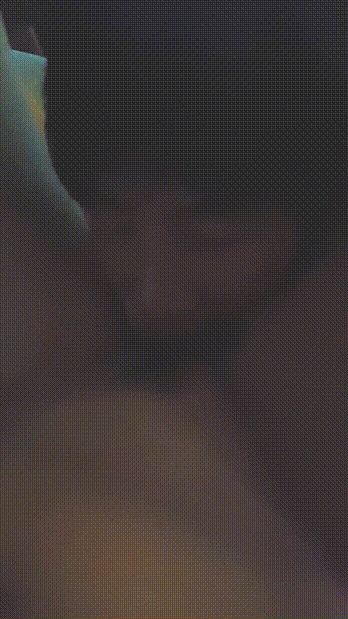 f7e63e6a51c0b399e8d9f252d3e18442_1732261686_0551.gif