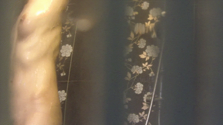 f7e63e6a51c0b399e8d9f252d3e18442_1732262453_1091.gif