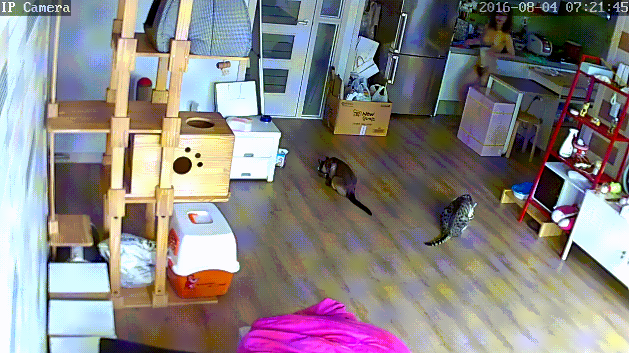f8c357c92e18deb0af4abd466e4a62ac_1730402066_6386.gif