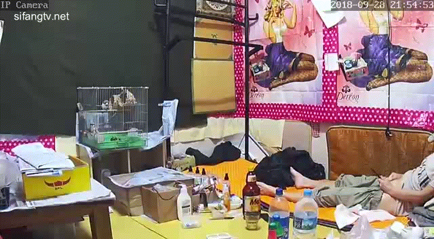 fe29b3425a8104dac397f0fd85de684a_1730403608_0478.gif