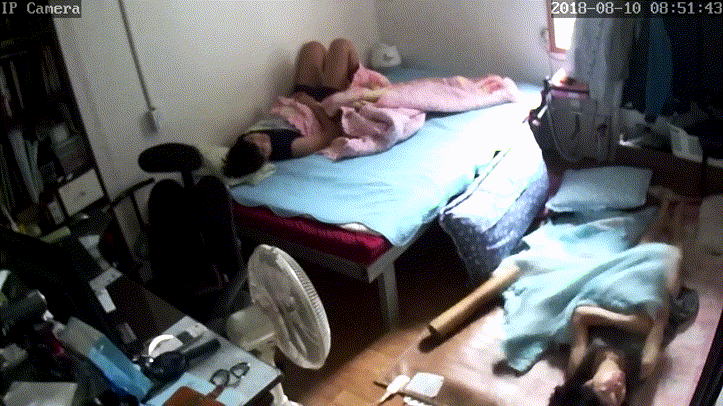 fe29b3425a8104dac397f0fd85de684a_1730405012_8441.gif