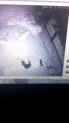 fe29b3425a8104dac397f0fd85de684a_1730405015_4828.gif