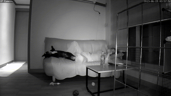 fe29b3425a8104dac397f0fd85de684a_1730405041_1048.gif