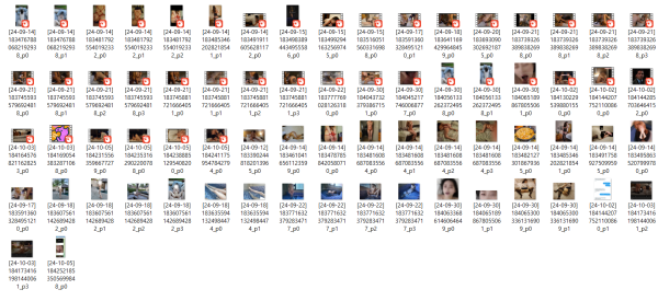 32f3a4f611f98eb78f2c6d95e8a5538d_1731327917_4222.png