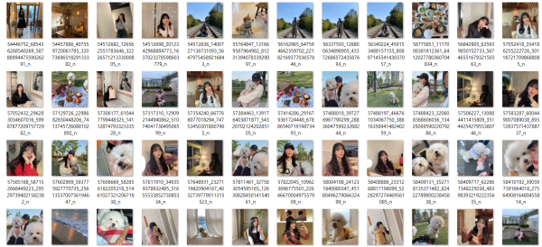 434511db3a530a123c1319ef93aabf11_1732348954_9288.png