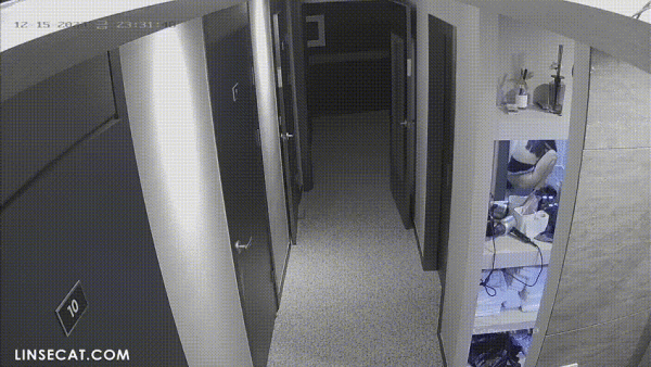 6c1df66cbdf20740808992d6916a9667_1732335918_5158.gif
