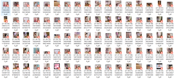 749dabb66fc1e80e0f65785ed68e2410_1732180212_8404.png