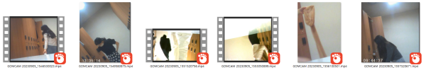 8195c11b43d076fb96b612917b2ff7d3_1730445284_1179.png