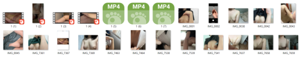9a07d9f879dc7f9daa34c0ddec59b4cb_1730816110_367.png