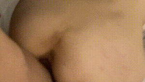 fc21bbd75cc229bc0e74178e1b0b1c0e_1730857171_6759.gif