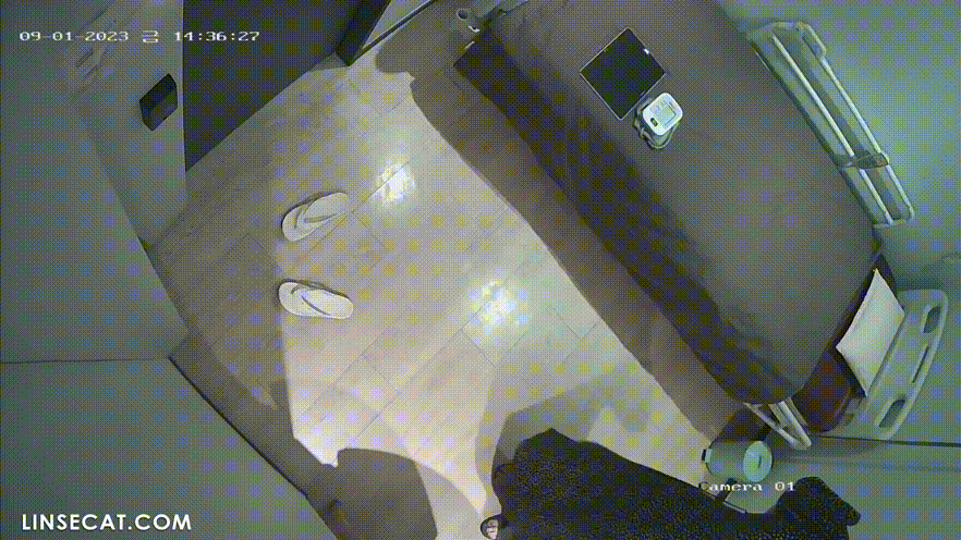 0bab466d3c03456b16d009399a429165_1735459975_658.gif