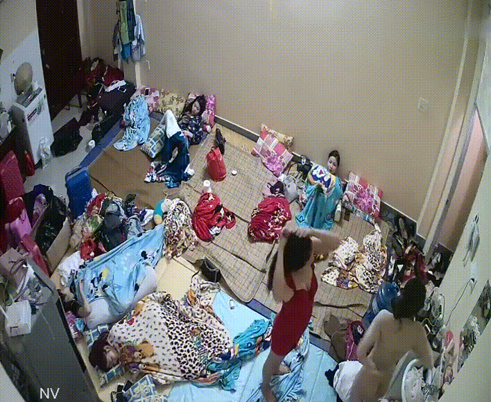 0bf764a43111269b9140654bcbf9c8a1_1735472967_0224.gif