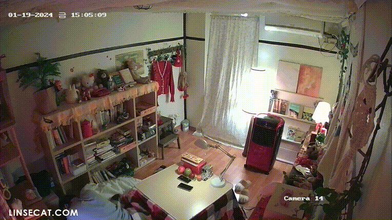 0c4944bb7e198cf602e875c07352a9d9_1735561895_4468.gif