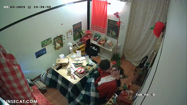 0c4944bb7e198cf602e875c07352a9d9_1735561899_1923.gif