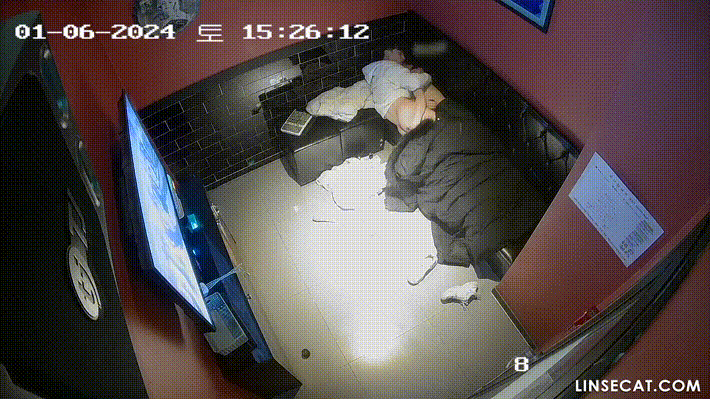 1ad954721de8ac79820abeb2171a6990_1734255006_6758.gif
