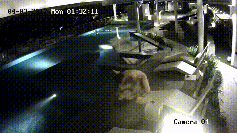 1e034515eb3e197bca561d7cbb8ee3b1_1734673726_9394.gif
