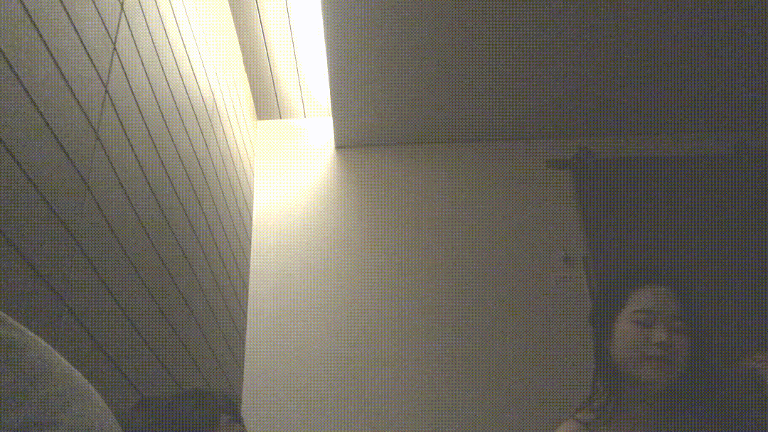 2912501f20798d2a0252770e01a997c2_1735200818_1125.gif